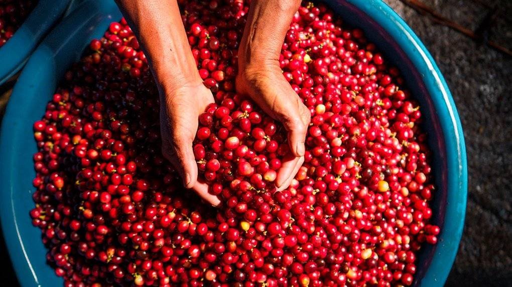 How we coped with the pandemic?